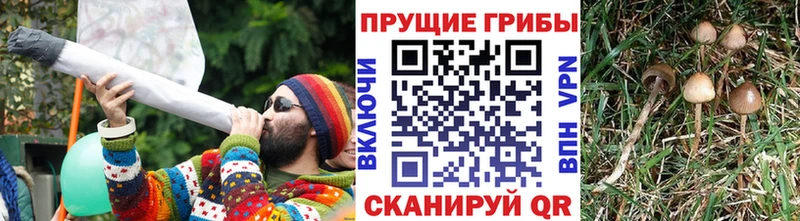 Галлюциногенные грибы MAGIC MUSHROOMS  Усть-Джегута 