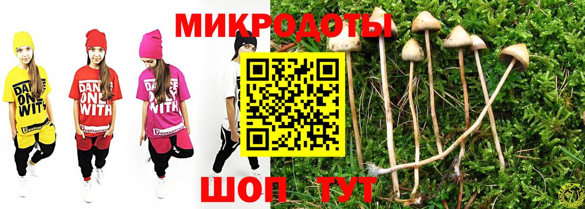Галлюциногенные грибы мухоморы Усть-Джегута
