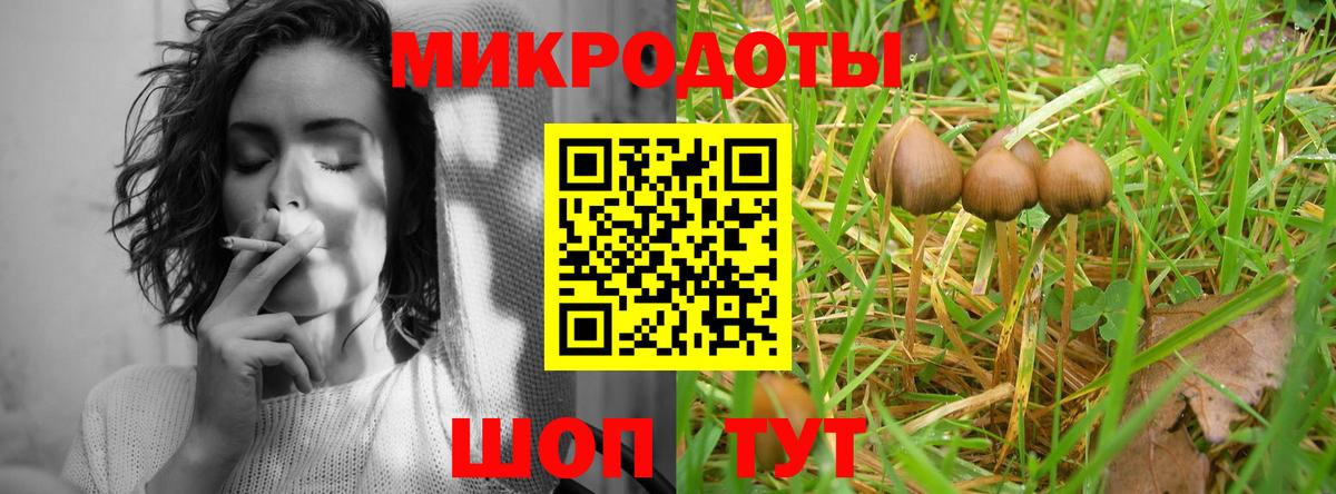 Усть-Джегута  Галлюциногенные грибы GOLDEN TEACHER  Вход с VPN 